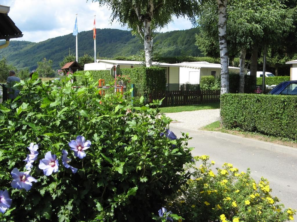 Camping Au Pays De Hanau Hotel Dossenheim-sur-Zinsel Exterior photo